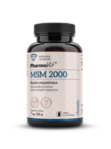MSM 2000