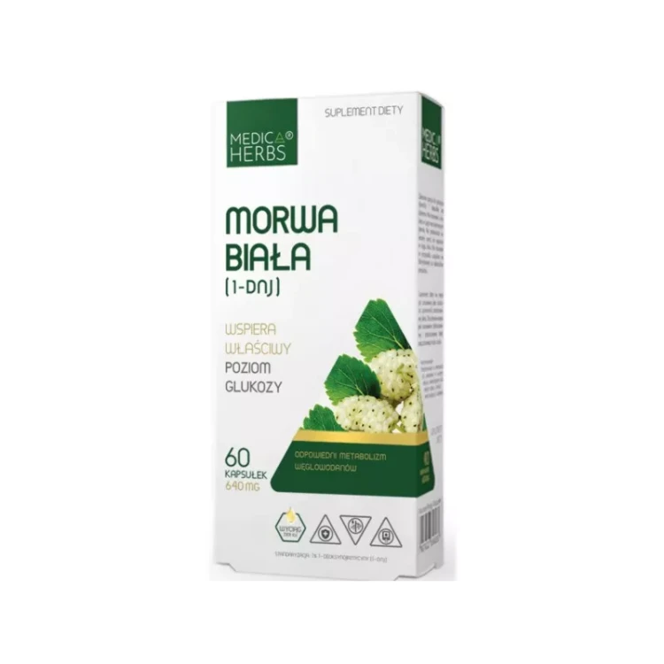 Morwa biała